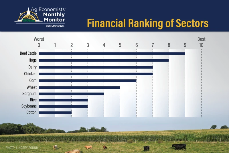 Monthly Monitor February chart