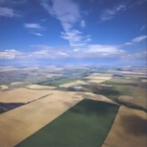 Aerial view of crops