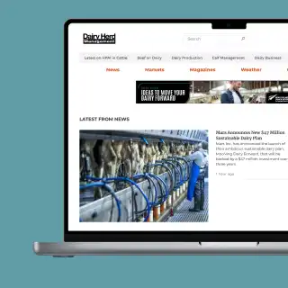 Dairy Herd Website
